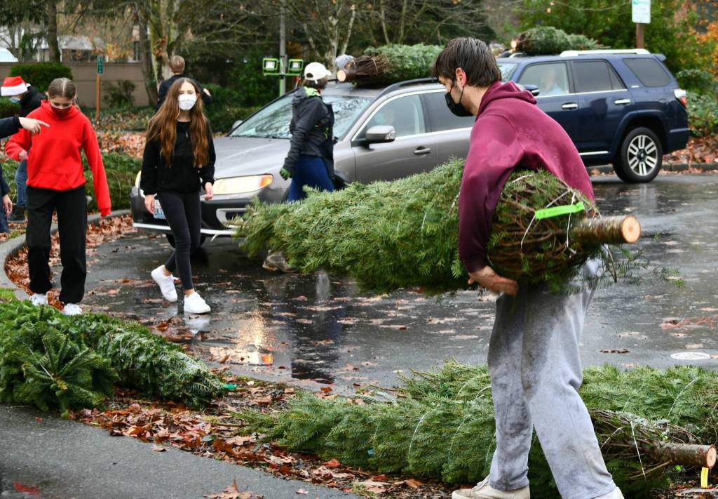 Volunteers spend their Saturday morning at the Mercer Island Youth and Family Services Foundations annual Christmas Tree Lot fundraiser. Andy Nystrom/ staff photo