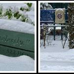 Island snow scene. Photos courtesy of Greg Asimakoupoulos