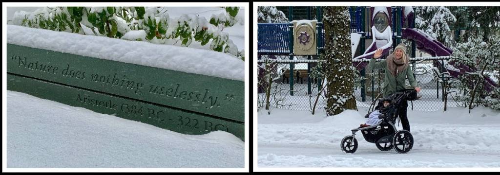 Island snow scene. Photos courtesy of Greg Asimakoupoulos