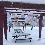 Island Lanterns participants have filled parts of the city with their colorful, ingenious and lighted outdoor lanterns. Photo courtesy of Claudia Zimmerman