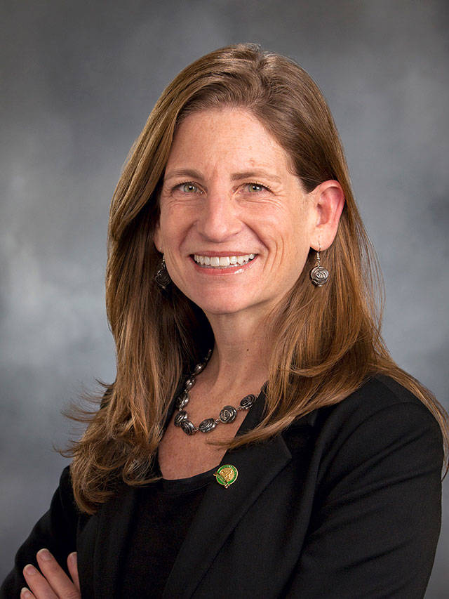 People are afraid of losing power and privilege, and confronting and facing their own role in inequality in our communities and in our history, said State Rep. Tana Senn (D-41st District). File photo