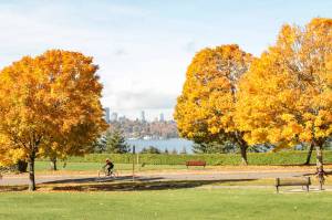 Aubrey Davis Park on Mercer Island in fall. File photo