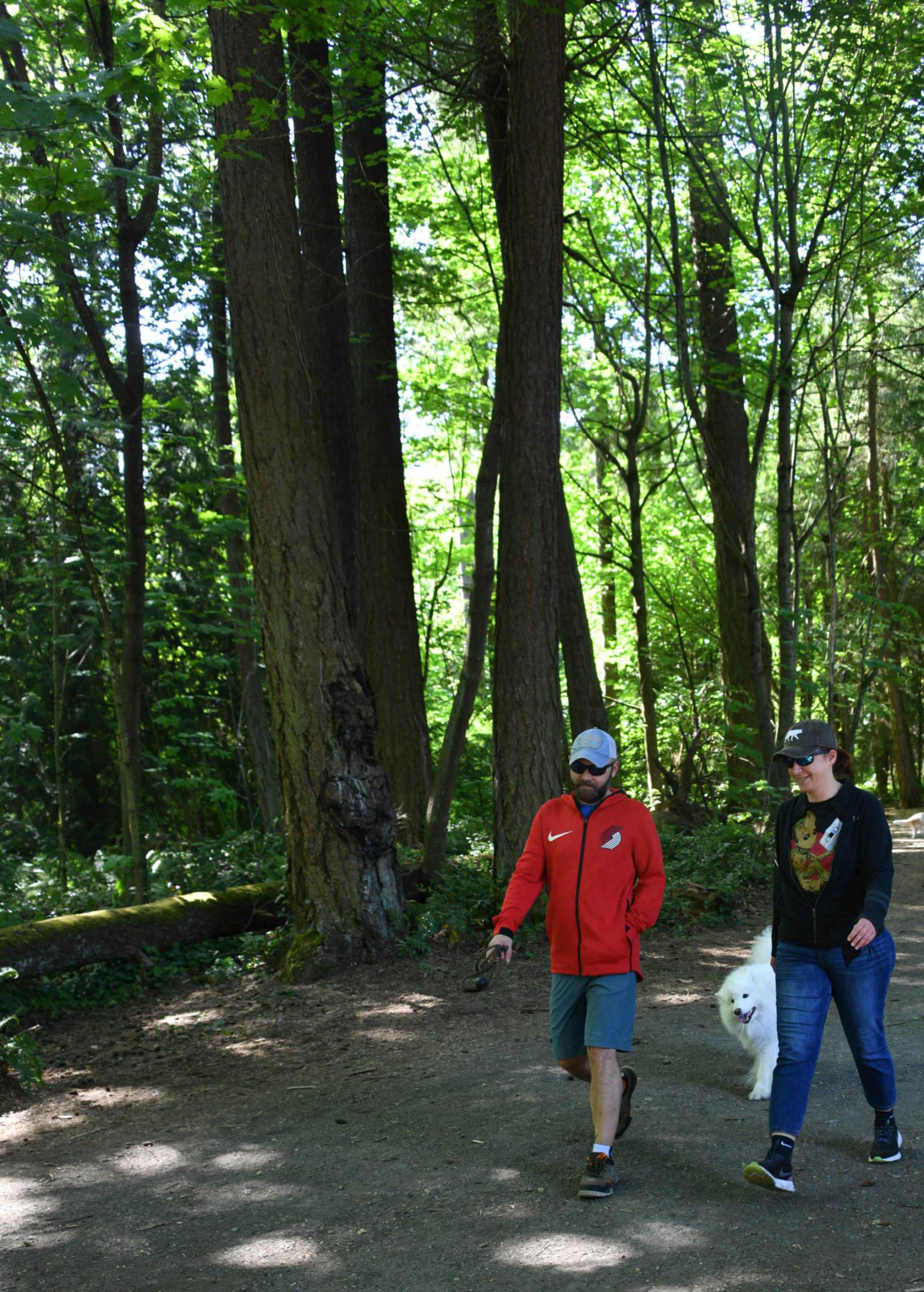 Sorin Stefan, Anca Boldan and their Samoyed Etah stroll through Pioneer Park in May. Andy Nystrom/ staff photo