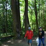 Sorin Stefan, Anca Boldan and their Samoyed Etah stroll through Pioneer Park in May. Andy Nystrom/ staff photo