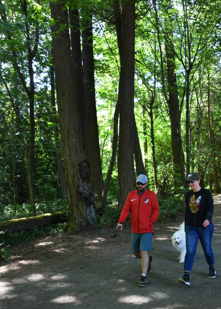 Sorin Stefan, Anca Boldan and their Samoyed Etah stroll through Pioneer Park in May. Andy Nystrom/ staff photo