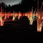 The Moonlight Collectives The Prairie of Possibilities art installation lit up Mercerdale Park with brilliant colors over the weekend of Nov. 5-7. This unique installation is the vision of Mercer Island resident James Gwertzman, who co-founded the Moonlight Collective with fellow makers Casey Marvin, Paul McDaniel and Ed Allard. Photo courtesy of James Gwertzman
