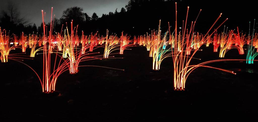 The Moonlight Collectives The Prairie of Possibilities art installation lit up Mercerdale Park with brilliant colors over the weekend of Nov. 5-7. This unique installation is the vision of Mercer Island resident James Gwertzman, who co-founded the Moonlight Collective with fellow makers Casey Marvin, Paul McDaniel and Ed Allard. Photo courtesy of James Gwertzman