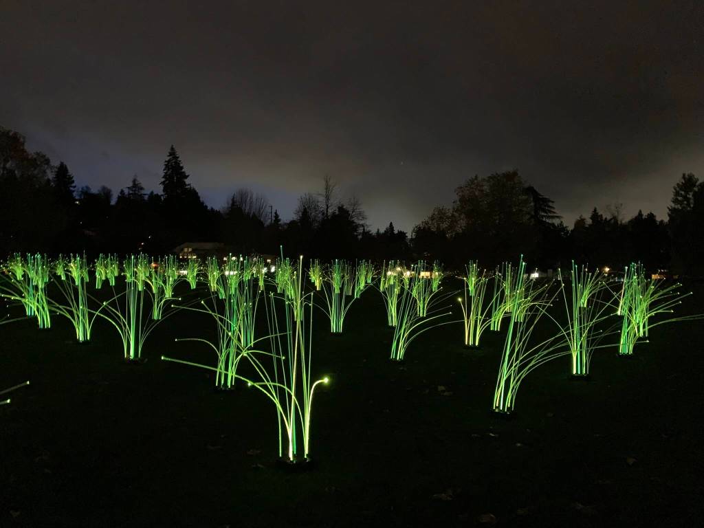 The Prairie of Possibilities was in the planning for nearly two years and debuted on Mercer Island as the first of several installations around the world. Photo courtesy of Greg Asimakoupoulos