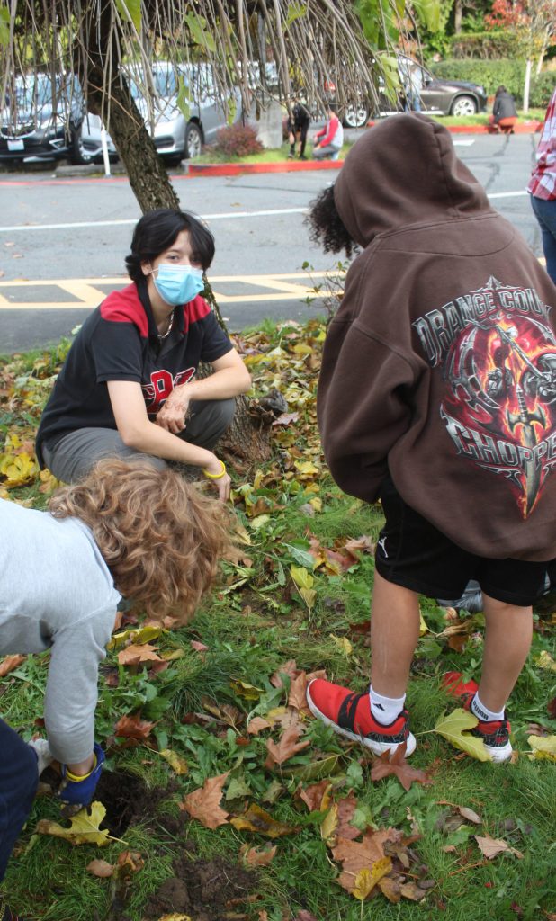 Mercer Island High Schools Devon Benaroya (center) oversees the planting of daffodils. Andy Nystrom/ staff photo