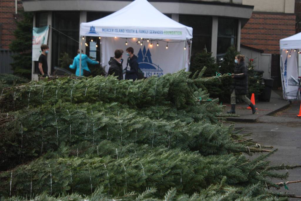 Volunteers keep the Mercer Island Youth and Family Services (YFS) Foundation tree lot running on Dec. 2. Andy Nystrom/ staff photo