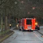 The scene of a stolen-vehicle crash on March 8 near the 3400 block of 78th Avenue Southeast. Photo courtesy of the Mercer Island Police Department
