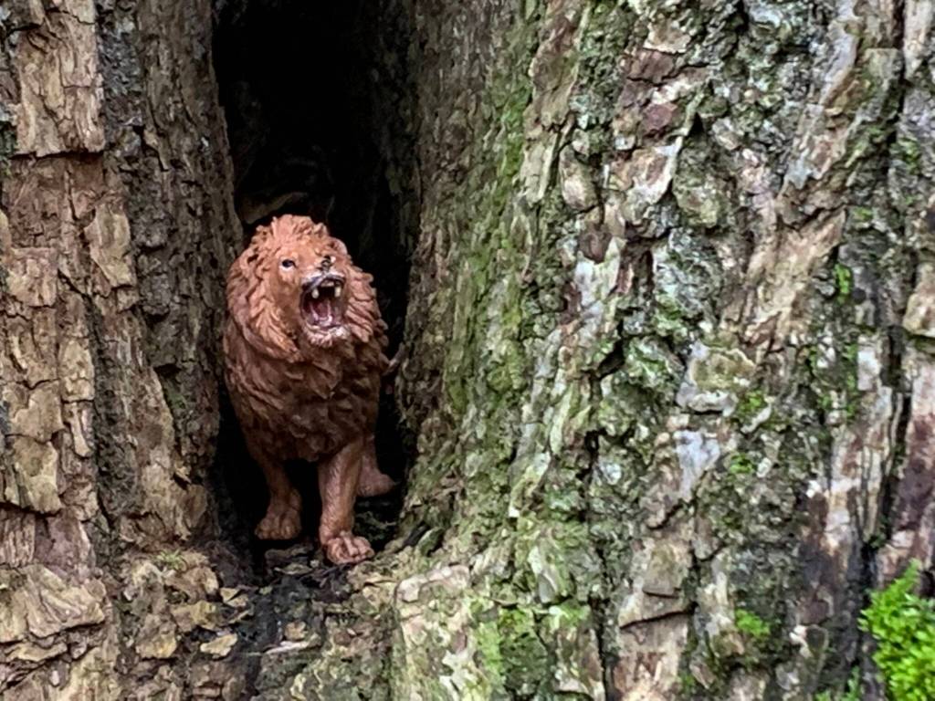 Greg Asimakoupoulos writes: Seeing the tiny toy lion in an opening in that tree trunk reminded me that death does not have the final word in life.