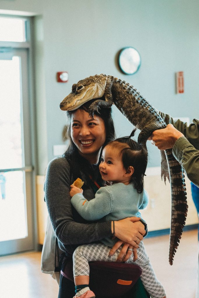 Fan Yaun and her daughter Rya, 1, visit with an alligator that The Reptile Man brought to last Saturdays Circus event at the Mercer Island Community and Event Center. The Mercer Island Preschool Association and the city presented the all-ages event, which also featured a police boat, carnival games, a petting zoo, face painting and more. Courtesy of B3 photography