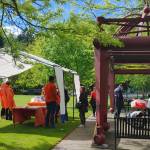 People sport orange at the Mercer Island PTA Committee on Gun Violence Prevention gathering on June 3 at Mercerdale Park. Andy Nystrom/ staff photo
