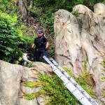 Members of the Mercer Island police and fire departments rescued a dog who was stranded high in a ravine on a recent day and reunited the pup with his family. Courtesy of the Mercer Island Police Department