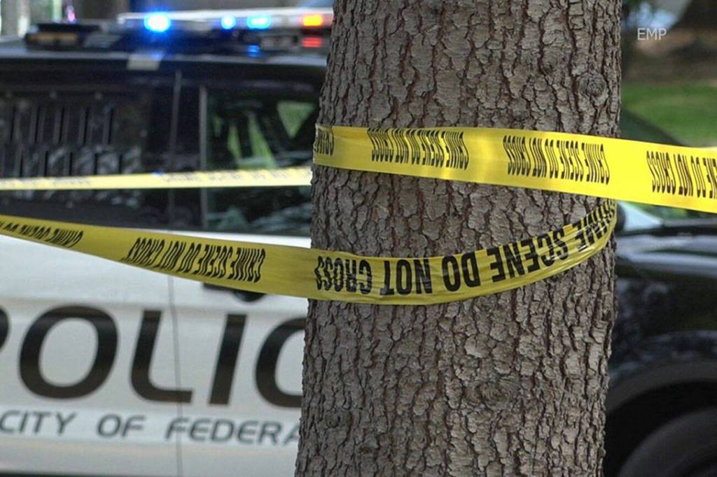 Photo courtesy of South Sound News