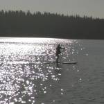 A paddle boarder cruises past the Mercer Island Luther Burbank Docks on the morning of Sept. 8. Andy Nystrom/ staff photo