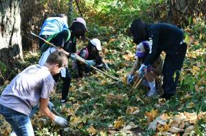 A scene from the Island Crest Park cleanup on Sept. 24. Photo by Andy Nystrom/Mercer Island Reporter