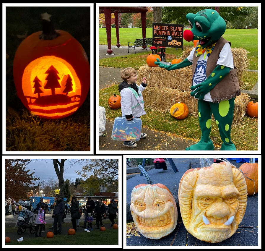 Attendees carved more than 200 pumpkins for inclusion in the city of Mercer Islands pumpkin walk on the night before Halloween along the Mercerdale Park loop. Photos courtesy of the city of Mercer Island