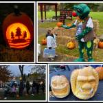 Attendees carved more than 200 pumpkins for inclusion in the city of Mercer Islands pumpkin walk on the night before Halloween along the Mercerdale Park loop. Photos courtesy of the city of Mercer Island