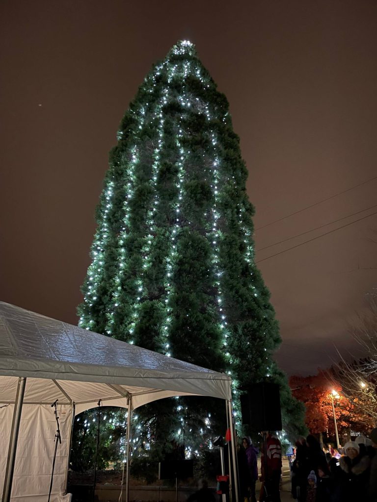 Photo courtesy of the city of Mercer Island