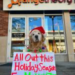 Dash Dog leads the way for the Orangetheory Fitness fundraiser for Motley Zoo Animal Rescue. Photo courtesy of Ande Edlund