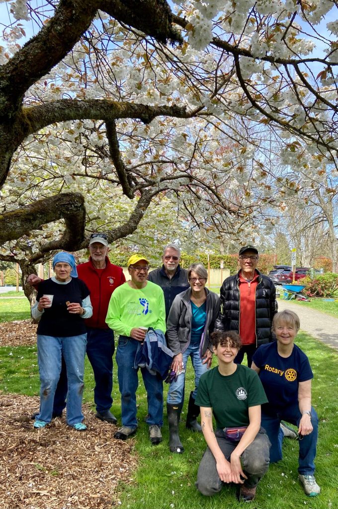 Rotary Club of Mercer Island members spent two hours on April 26 cleaning up Rotary Park. Seven Rotarians raked and weeded, then spread six cubic yards of bark dust mulch around trees. They also cleaned up the flower beds by the Rotary Park sign. The citys parks department brought a truckload of mulch and provided wheelbarrows, rakes, hand tools and gloves, plus water and snacks. The Rotary Clubs parks committee members previously had removed ivy and blackberries at the park. They plan to do more such cleanup events in the future at this and other Island parks. Rotarys motto is Service Above Self, and the club invites and welcomes new members. For more information, visit mirotary.org. From left: Vivyiene Stumbles, John Hamer, Benson Wong, Mike Finn, Edie Warner, Terry Lee. Kneeling: Jordan Fischer (city employee) and Pat Turner. Courtesy photo