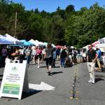 Attendees enjoy the opening day of the Mercer Island Farmers Market on June 4. Andy Nystrom/ staff photo