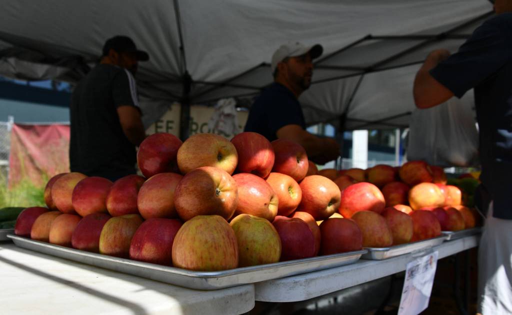 Apples abound at the EF Produce booth at the Mercer Island Farmers Market on June 4. Andy Nystrom/ staff photo