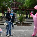 Litza Griffin-Johnson unleashes bubbles while a unicorn dances to live music at the Mercer Island Pride in the Park Celebration on June 17 at Mercerdale Park. Andy Nystrom/ staff photo