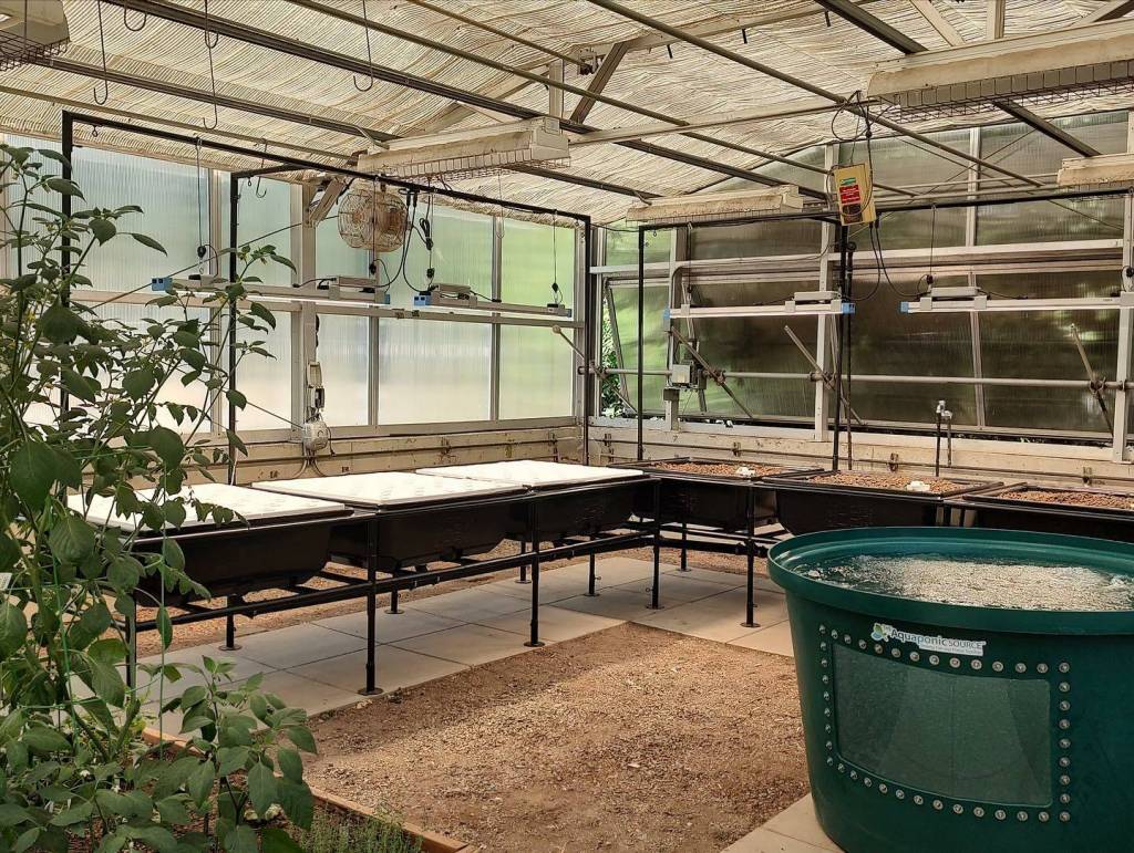 Mercer Island High School horticulture and marine science teacher Elysse Forester spent this summer building and collaborating with The Aquaponic Sources Mike Crescitelli to bring a top-of-the-line aquaponic system to the Crest Learning Center greenhouses this year. The system will allow for a seamless integration of fish and plants in the greenhouses, opening the door for many hands-on lessons and experiences. According to the school districts website, the horticulture program is a career and college readiness course, a science lab and a Crest course. Students maintain their own garden plot around the Crest Learning Center and produce their own crops for the annual plant sale. Photo courtesy of the Mercer Island School District