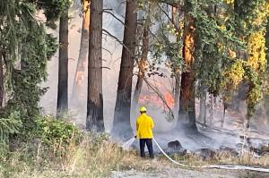 Firefighters from four agencies extinguished a brush fire Wednesday evening, Aug. 16 in the 3300 block of South 260th Street on the West Hill in Kent. COURTESY PHOTO, Puget Sound Fire