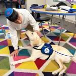 Northwest Yeshiva High School student Jonathan Davydov interacts with a therapy dog from Assistance Dogs Northwest on Oct. 10. Photo courtesy of Beth Jacoby