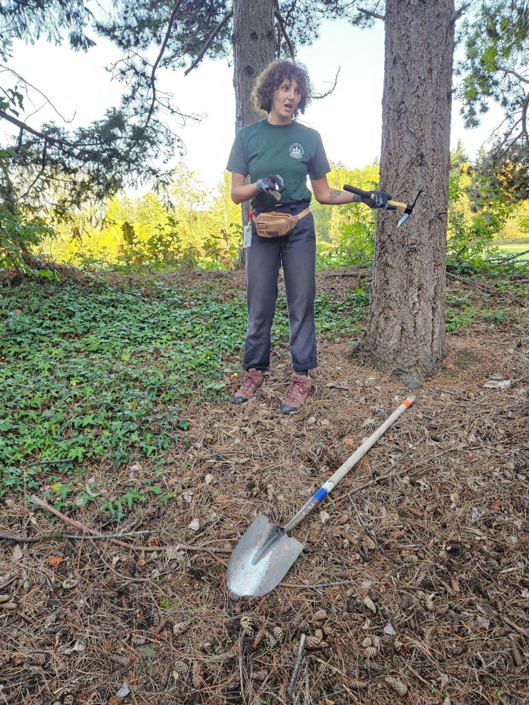Courtesy photo
Jordan Fisher of the citys Parks and Recreation Department demonstrates best tools for removing ivy.