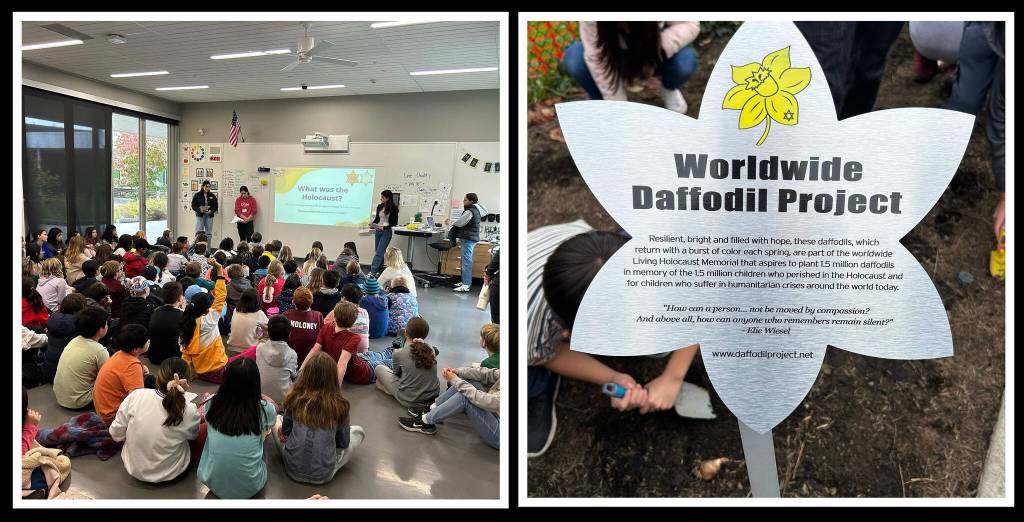 Mercer Island High Schools Holocaust Education Committee presented The Daffodil Project to fourth- and fifth-graders on Nov. 1 at Northwood Elementary School. Photos courtesy of the Mercer Island School District