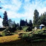 Volunteers begin their shifts at the Mercer Island Holiday Tree Lot on Nov. 27, 2022 at Mercer Island Presbyterian Church. Reporter file photo