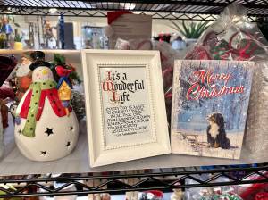 (Photo courtesy of Greg Asimakoupoulos)