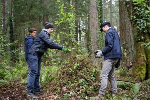 Pioneer Park is located at Island Crest Way and 68th Street. (Photo courtesy of City of Mercer Island)