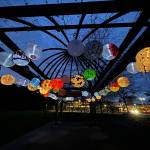 The citys Island Lanterns event is in full effect as community members paper creations are currently on display as an illuminated installation at the Veterans Pergola in Mercerdale Park. Andy Nystrom/ staff photo