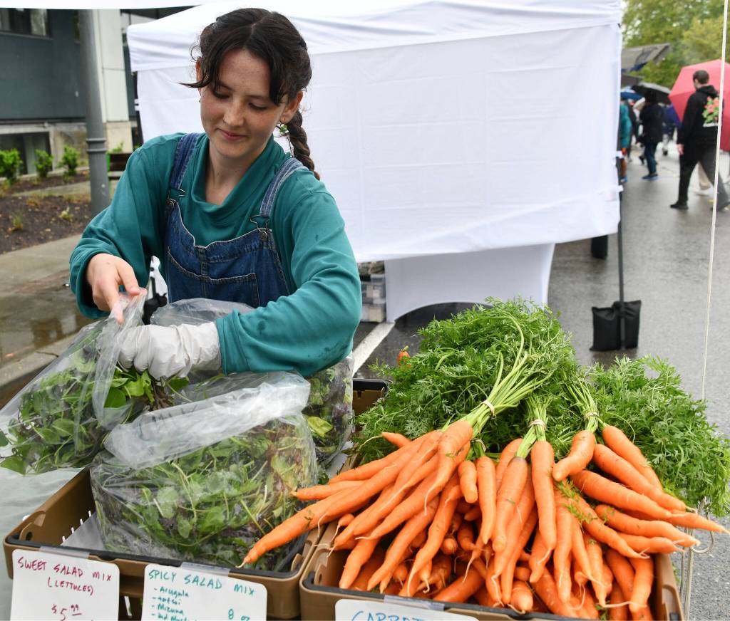 Kyle Moss works at the Wright Brothers Farm booth during opening day of the Mercer Island Farmers Markets 17th season on June 2 along Southeast 32nd Street and 77th Avenue Southeast near Mercerdale Park. This years market will run from 10 a.m. to 2 p.m. on Sundays through Sept. 29. A Harvest Market is also on the docket from 10 a.m. to 2 p.m. on Nov. 24. Andy Nystrom/ staff photo