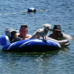 Swimmers beat the extreme heat with their pooch Benji on July 8 at Luther Burbank Park beach on Lake Washington. Andy Nystrom/ staff photo