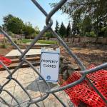 The city-owned property on Island Crest Way and Southeast 40th Street is currently closed while city staff and contractors address the landscaping damage. Andy Nystrom/ staff photo
