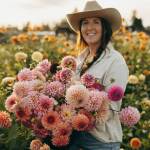 Kelsey Hall has been growing dahlias since 2018; her farm now sells more than 4,000 flowers a year, and grows up to 200 different varieties. Photo courtesy Kelsey Hall