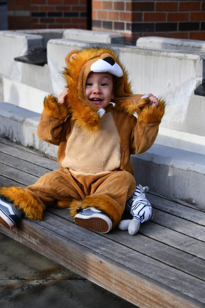 Lion Temuulen Garid. Andy Nystrom/ staff photo