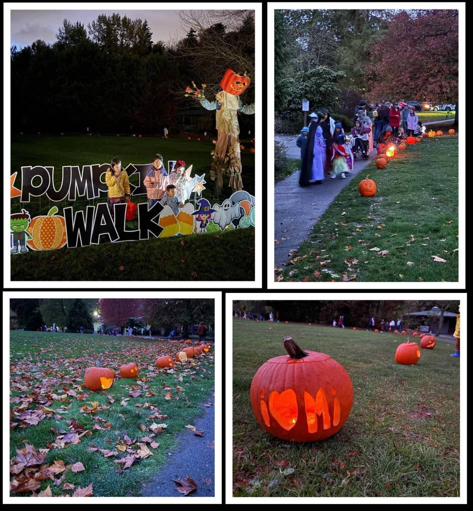 The city of Mercer Islands Pumpkin Walk was a glowing success on Oct. 27 at Mercerdale Park. The family-friendly event occurred along the Mercerdale loop, with a path lined with a display of carved pumpkins from Island participants. Photos courtesy of the city of Mercer Island