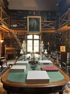 Photo by Mindy Stern