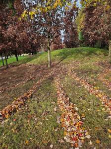 (Photo courtesy of John Hamer)