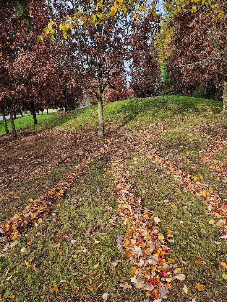 (Photo courtesy of John Hamer)