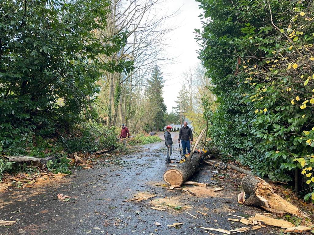 Photo courtesy of Greg Asimakoupoulos