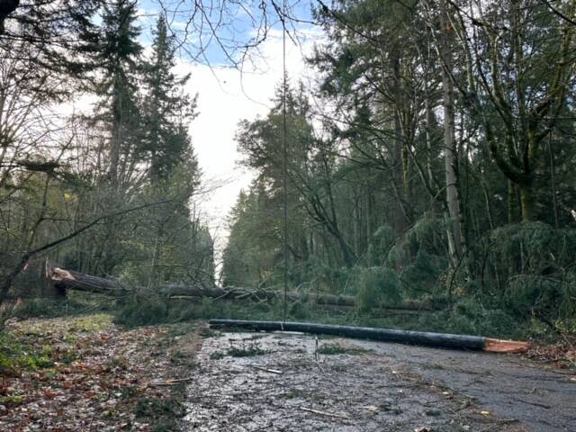 Photo courtesy of Greg Asimakoupoulos